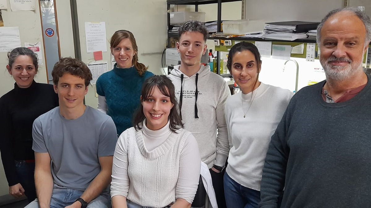 Bronquiolitis: investigadores del Conicet descubrieron un mecanismo clave del virus que causa la enfermedad
