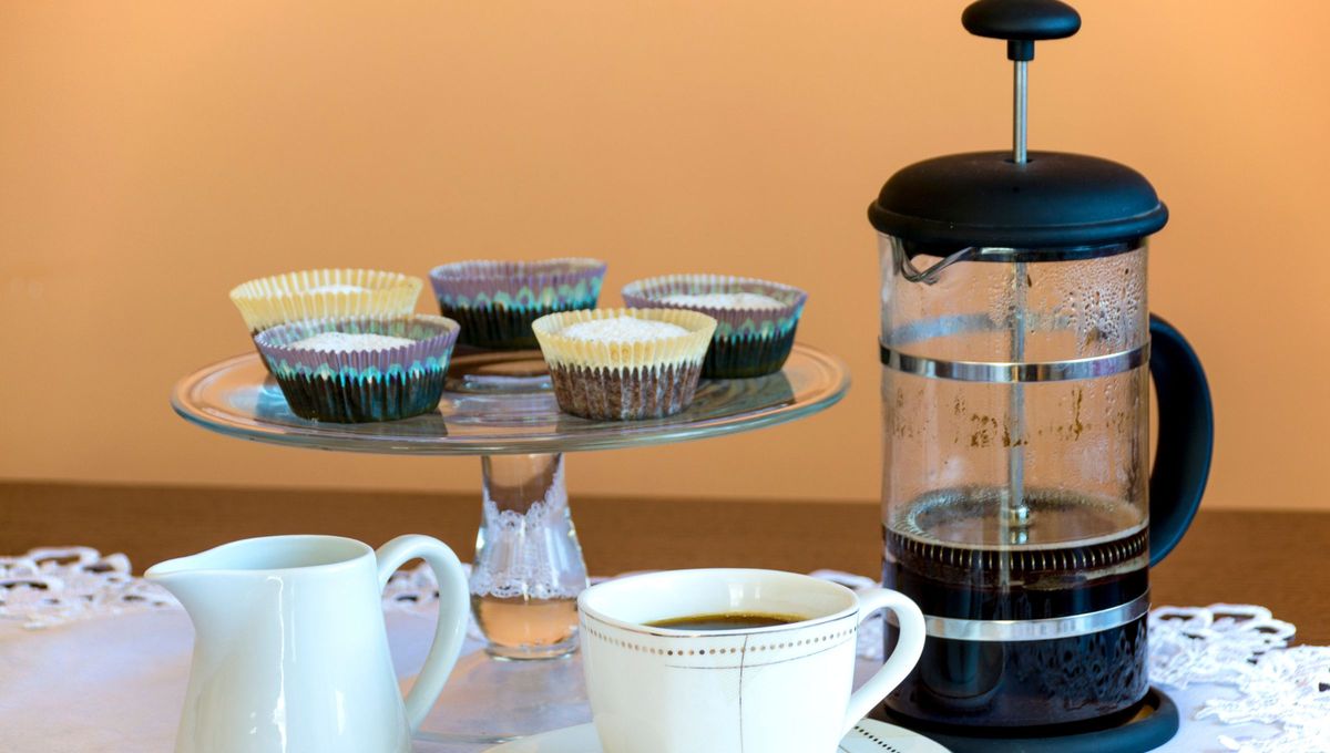 Si buscás un café con mucho cuerpo, la cafetera francesa es la más recomendada para la ocasión. Foto Canva Si buscás un café con mucho cuerpo, la cafetera francesa es la más recomendada para la ocasión. Foto Canva