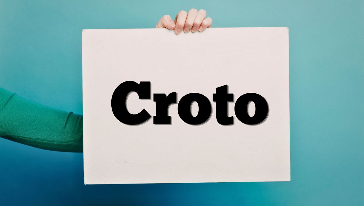 Historia y origen de la palabra 