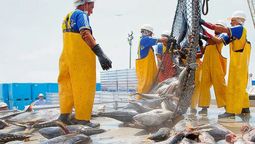 ¿Por qué Japón importa pescado si es una de las mayores potencias pesqueras del mundo? ¿Por qué Japón importa pescado si es una de las mayores potencias pesqueras del mundo?