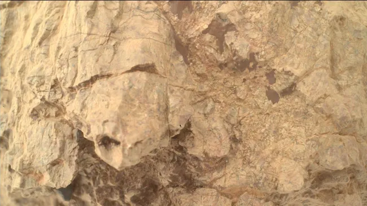 El descubrimiento publicado por la NASA es un caso de pareidolia: pensar que algo desconocido tiene forma de otra cosa que sí conocemos. El descubrimiento publicado por la NASA es un caso de pareidolia: pensar que algo desconocido tiene forma de otra cosa que sí conocemos.