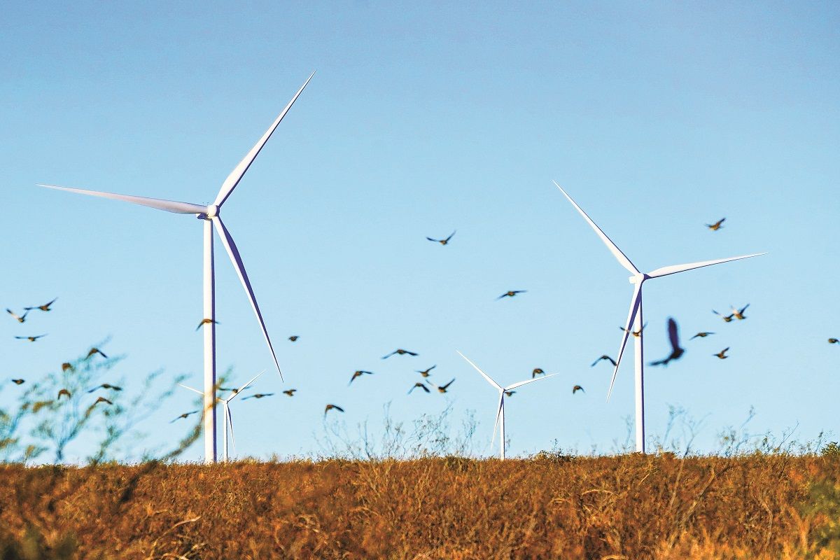 Imagen de aerogeneradores instalados en el parque eólico Loma Blanca I, desarrollado por las empresas chinas, en la provincia de Chubut, un fruto de la cooperación bilateral de ambos países en energías limpias y renovables. WANG TIANCONG / XINHUA