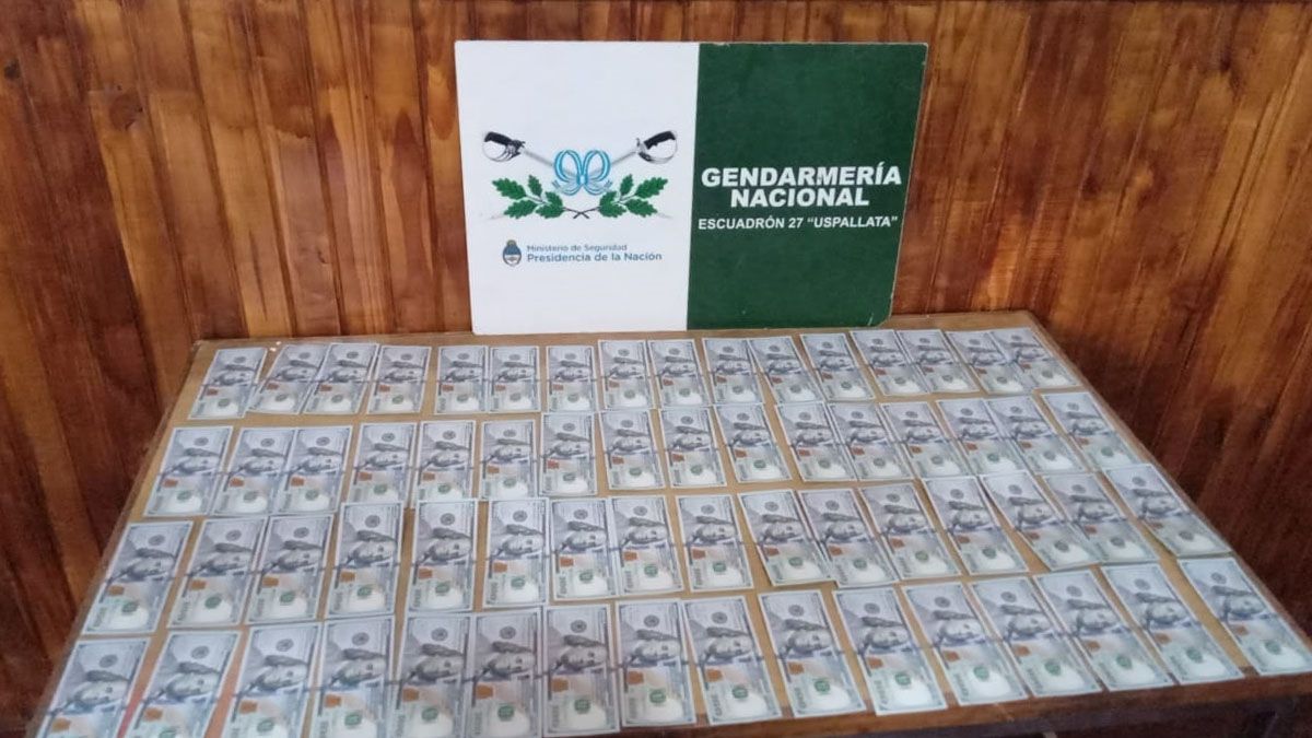 Los dólares secuestrados por Gendarmería.