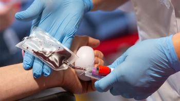 Necesitan sangre O Negativo para la nena baleada de 11 años: cómo donar este jueves y viernes en el Notti Necesitan sangre O Negativo para la nena baleada de 11 años: cómo donar este jueves y viernes en el Notti