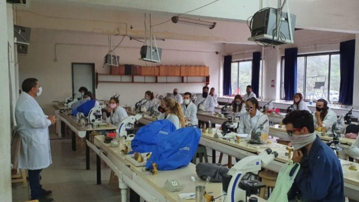 En la UNCuyo cada facultad ha elegido la modalidad de dictado de clases de acorde a sus características. Por ejemplo en Ciencias Agrarias las prácticas se harán respetando todos los protocolos sanitarios.