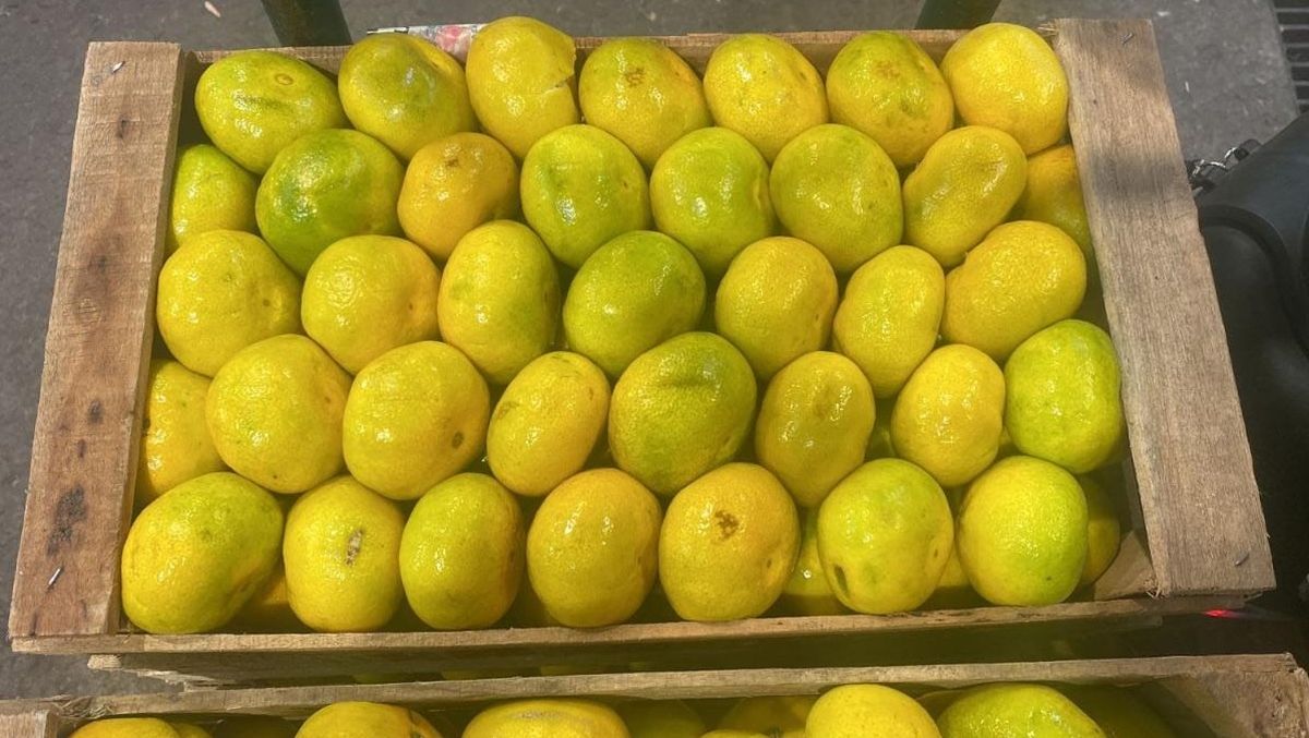 Anael Carrasco, secretario de planificación de la Unión Frutihortícola de Mendoza dijo que hace seis meses que el mercado de Acceso Este no vende ningún cajón al sur.