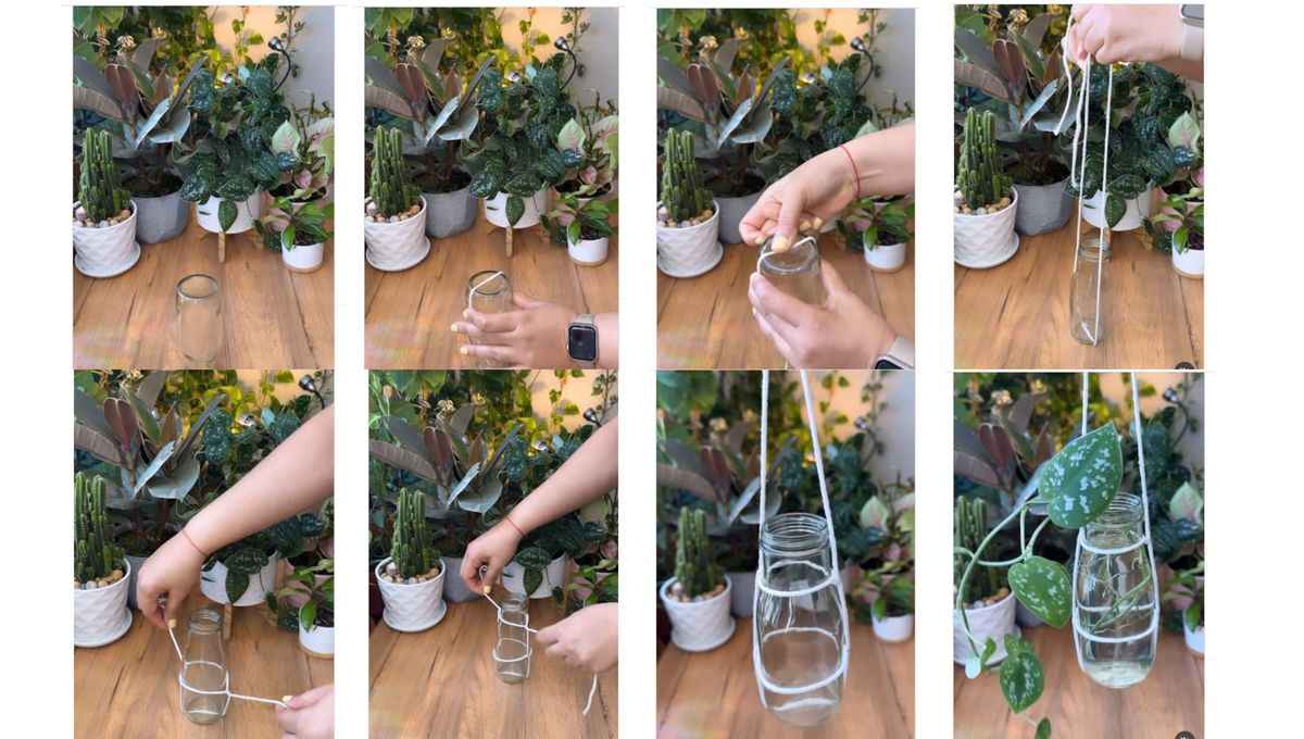 Fotos tomadas del tutorial de greenprincess_liveplants en Instagram Fotos tomadas del tutorial de greenprincess_liveplants en Instagram 