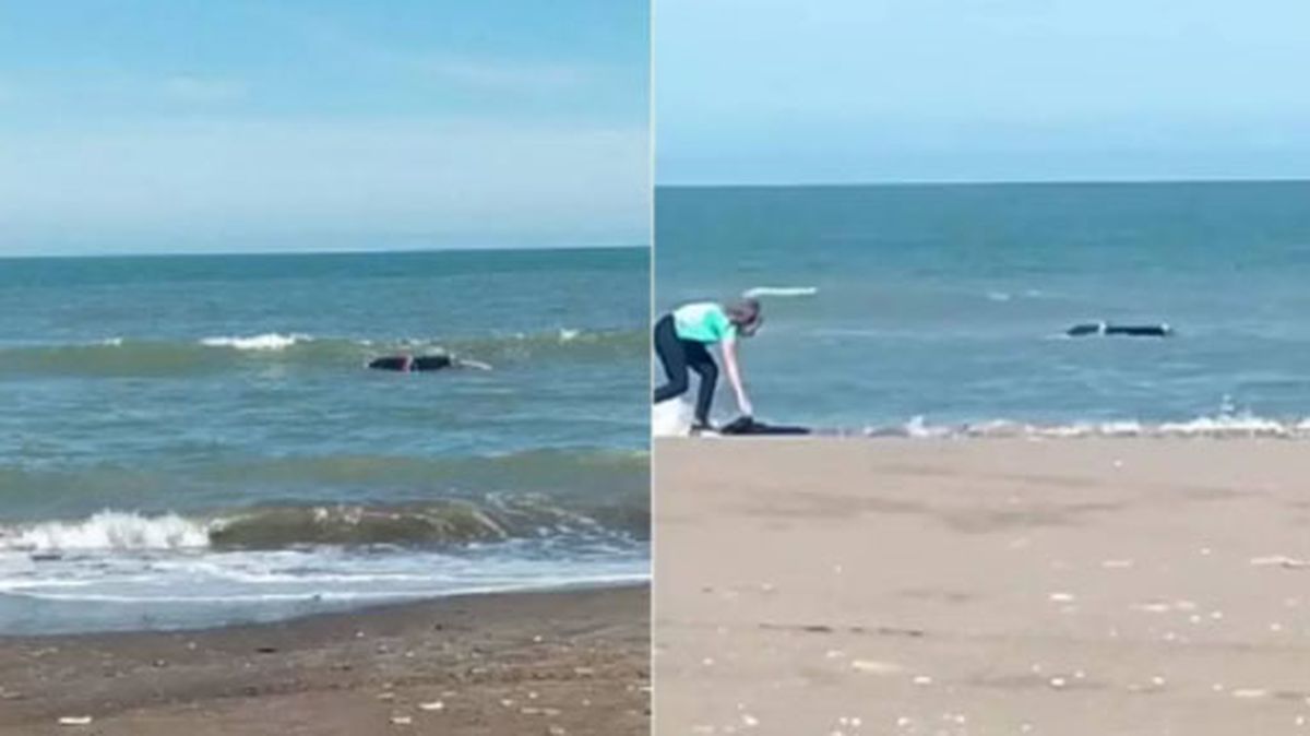 La camioneta quedó tapada por el agua.