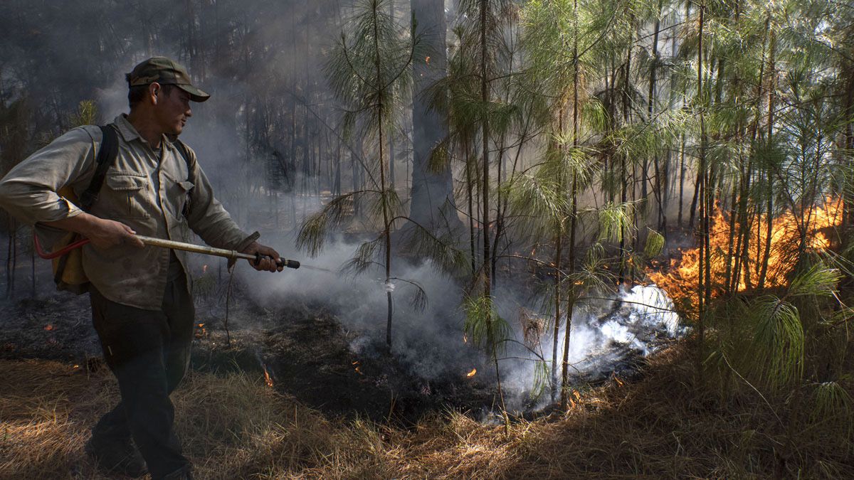 Los incendios en Corrientes siguen preocupando a los pobladores, mientras que se espera un importante alivio con la llegada de fuertes lluvias para los próximos 2 días
