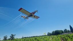 El tratamiento aéreo con feromonas pulverizables es una de las acciones de la campaña de combate para controlar la plaga Lobesia Botrana sobre los viñedos mendocinos