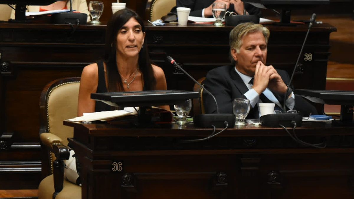 La senadora Natalia Eisenchlas seguirá siendo parte del Jury. Marcelo Rubio dejó su banca. La senadora Natalia Eisenchlas seguirá siendo parte del Jury. Marcelo Rubio dejó su banca. 