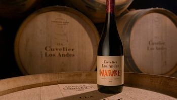 Se concretó el primer envío de vinos a Brasil a través de la nueva base logística de ProMendoza