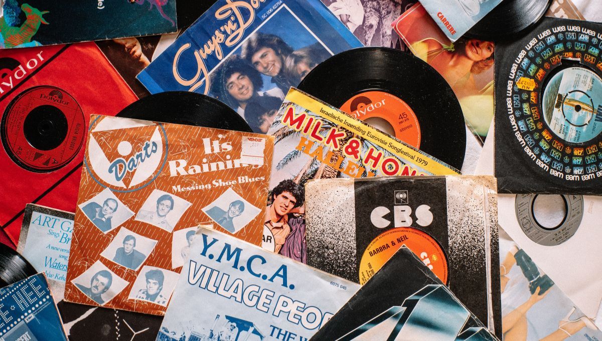 Hay que cuidar los discos de vinilo del polvo y de los rayones. Hay que cuidar los discos de vinilo del polvo y de los rayones. 