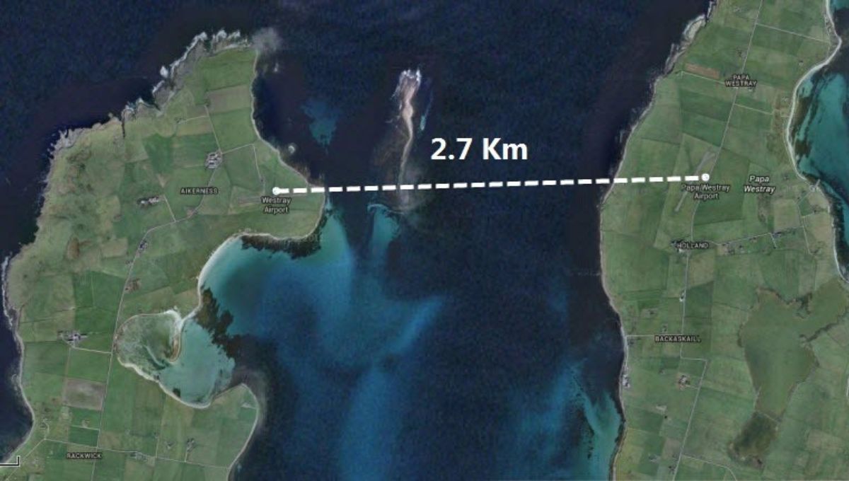 El viaje de este avión se realiza de dos a tres veces por día El viaje de este avión se realiza de dos a tres veces por día