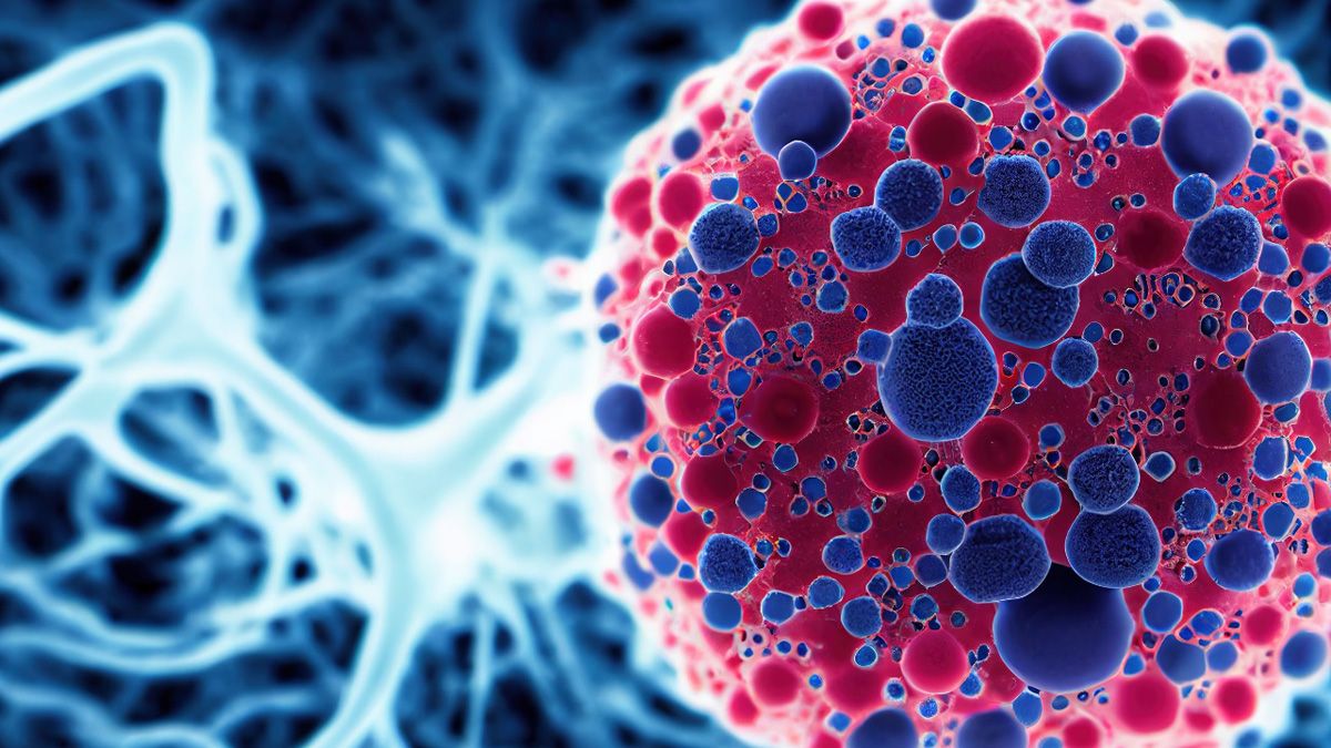 Los investigadores describieron cómo las alteraciones genéticas en los genes que impulsan el cáncer se traducen en malignidad celular Los investigadores describieron cómo las alteraciones genéticas en los genes que impulsan el cáncer se traducen en malignidad celular