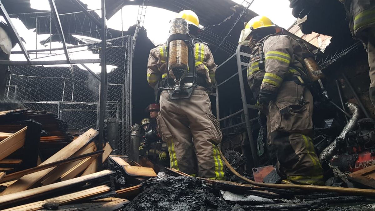 Los bomberos observan los restos del siniestro y controlan las cenizas, para evitar que se reavive el fuego.