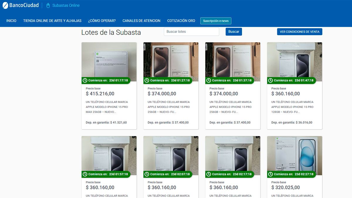 El Banco Ciudad subasta una gran variedad de bienes, que pueden incluir inmuebles (casas, departamentos), vehículos (autos y camionetas) y mercaderías en general.