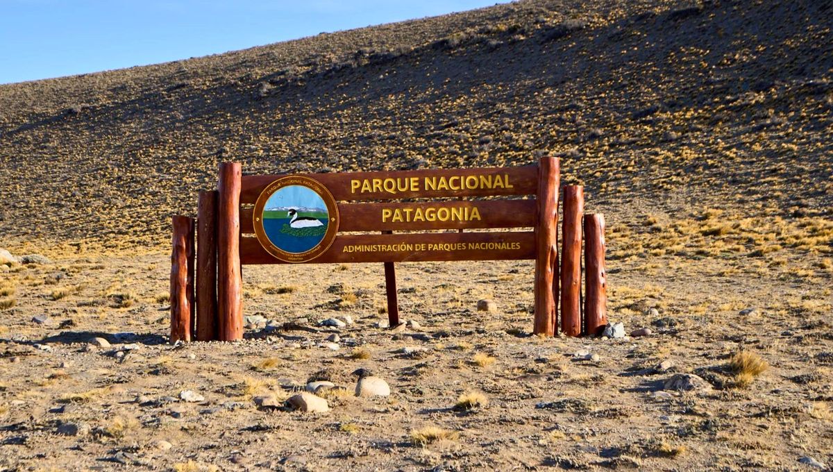 El Parque Nacional Patagonia se creó oficialmente, el 11 de diciembre del año 2018, mediante el Decreto 98 del Ministerio Bienes Nacionales, conformado por una superficie total de 304.527,75 ha. El Parque Nacional Patagonia se creó oficialmente, el 11 de diciembre del año 2018, mediante el Decreto 98 del Ministerio Bienes Nacionales, conformado por una superficie total de 304.527,75 ha.
