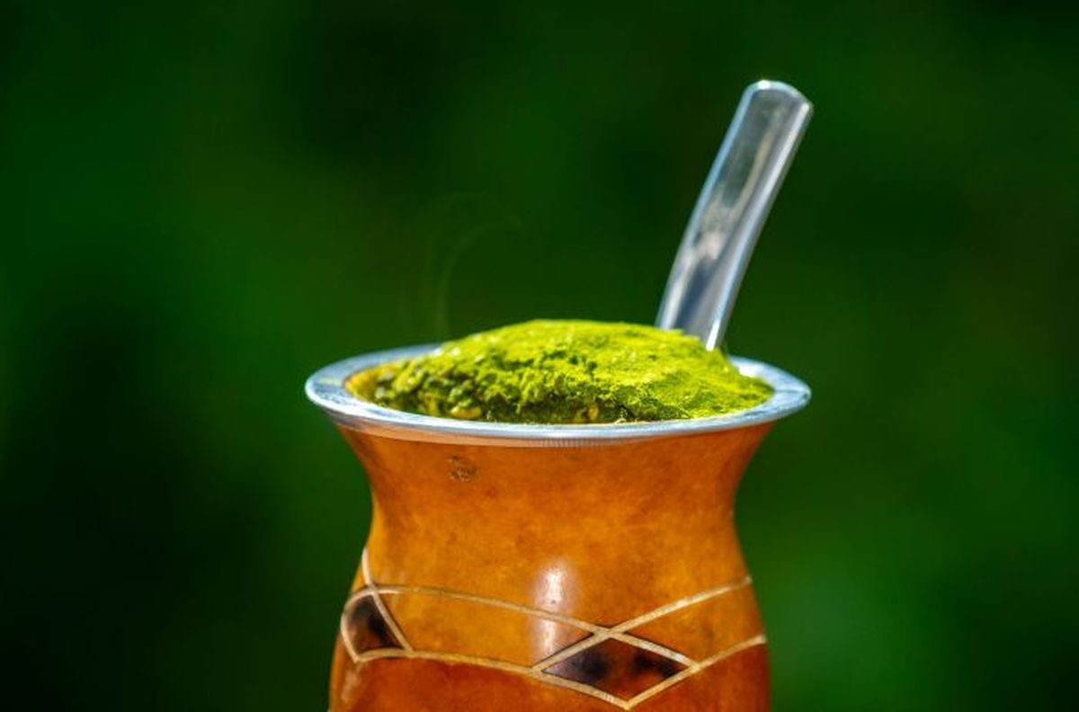 La infusión mágica similar al mate que mejora la concentración y el estado de ánimo La infusión mágica similar al mate que mejora la concentración y el estado de ánimo