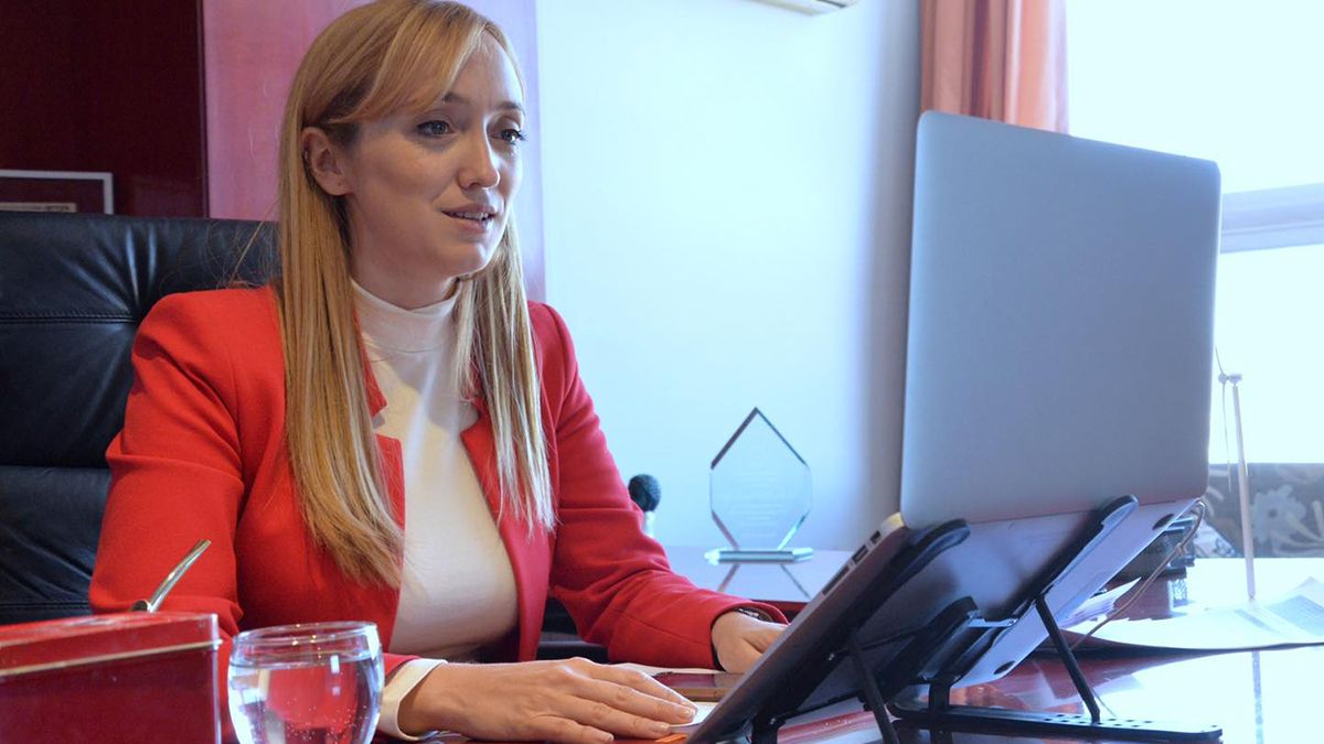 La senadora nacional Anabel Fernández Sagasti le apuntó al proyecto de Suarez para cambiar el funcionamiento de la Suprema Corte y aseguró que el Gobierno busca la mayoría absoluta. 