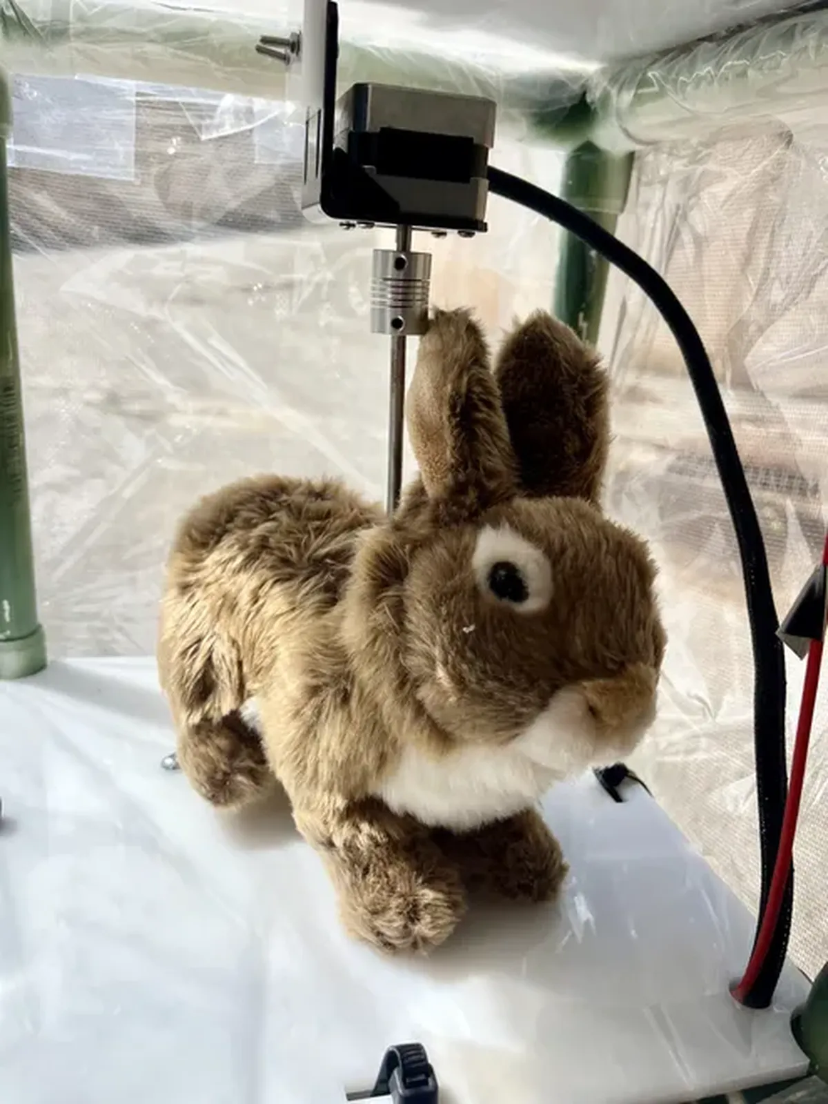 Estos conejos robot podrían ser de mucho ayuda para la Florida. Estos conejos robot podrían ser de mucho ayuda para la Florida.