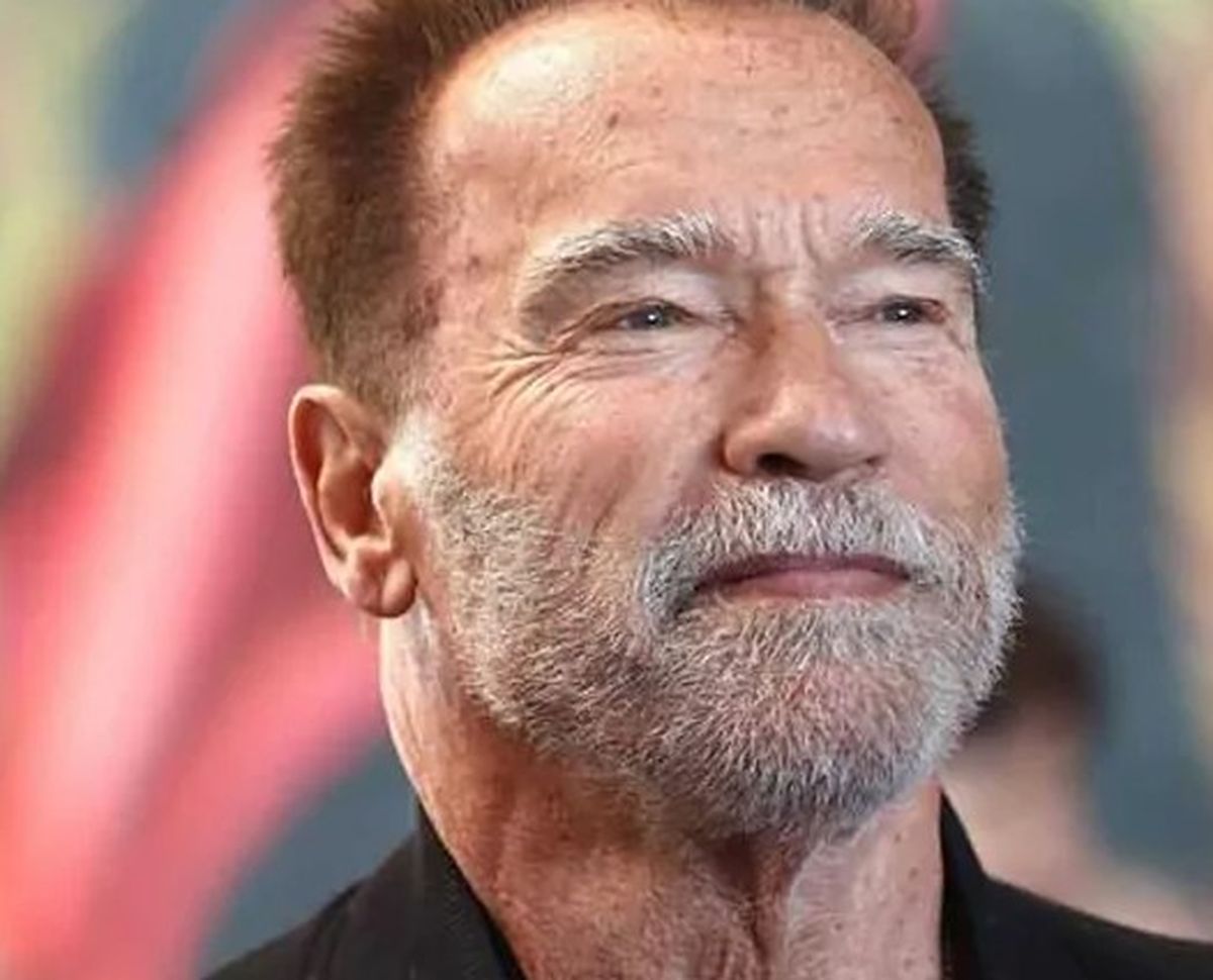 Arnold Schwarzenegger fue gobernador de California. Arnold Schwarzenegger fue gobernador de California.