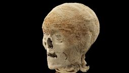 Los datos obtenidos a través de este descubrimiento tecnológico sientan las bases para futuras reconstrucciones faciales en tres dimensiones, aportando información clave sobre la morfología de las civilizaciones pasadas y el perfeccionamiento de los métodos de preservación orgánica en el antiguo Egipto.