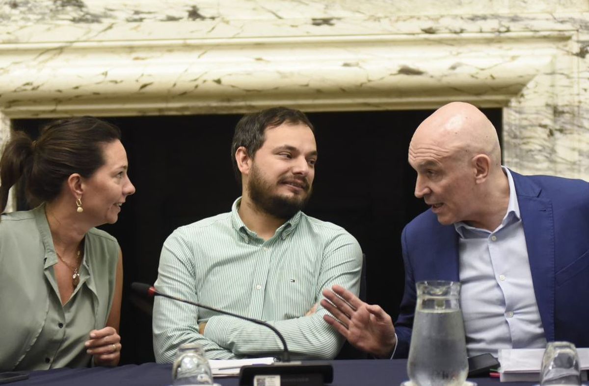 Álvaro Martínez en el Congreso, aquí junto a Paula Omodeo y José Luis Espert. Álvaro Martínez en el Congreso, aquí junto a Paula Omodeo y José Luis Espert.