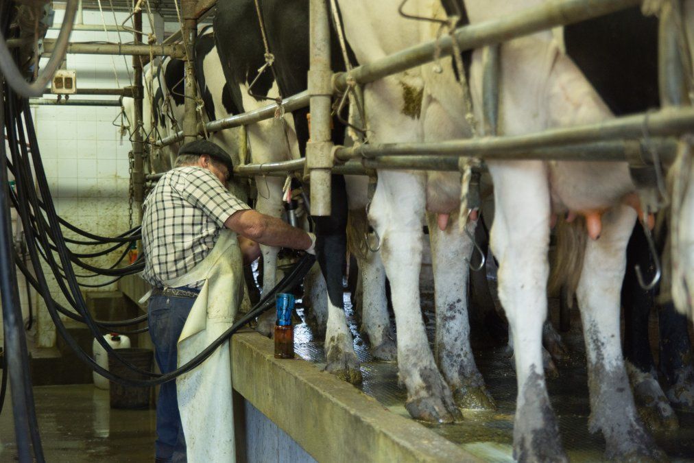 Los productores tamberos advirtieron por la honda crisis y le reclamaron al Gobierno. 