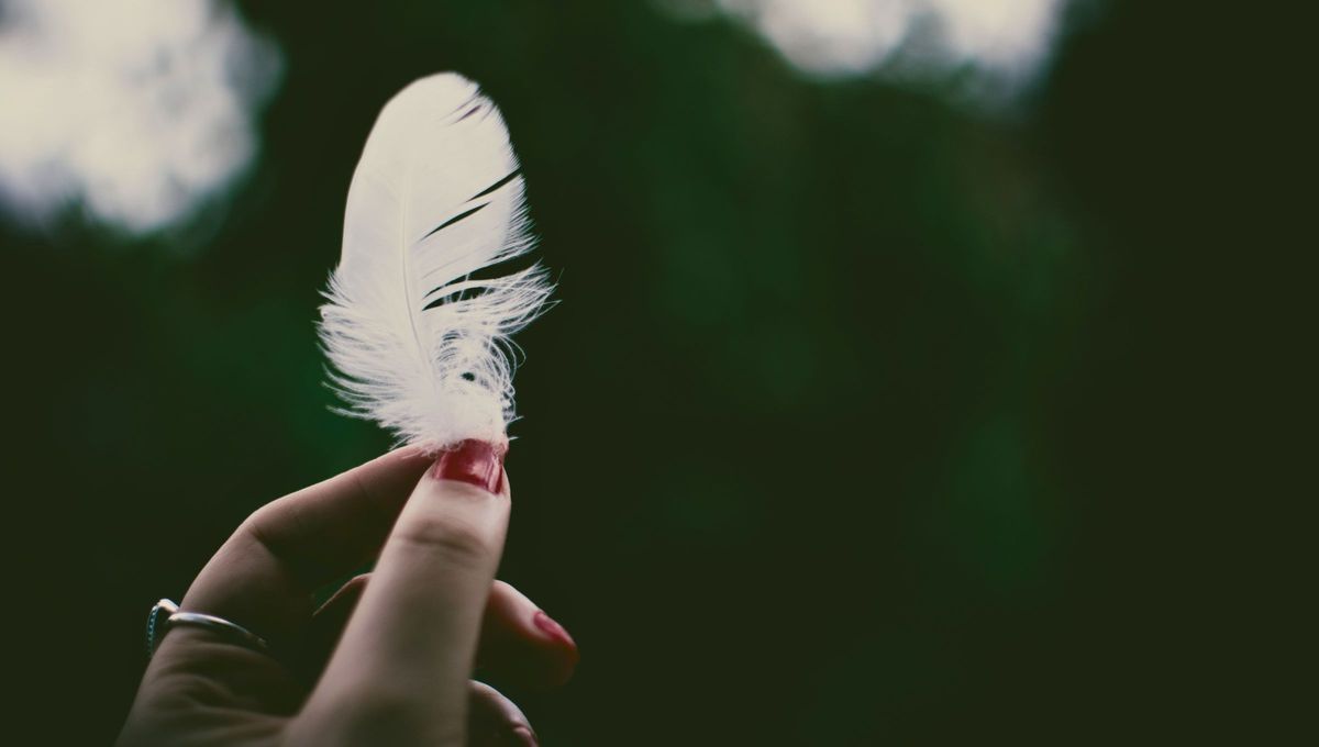 Encontrar plumas en tu hogar tiene un fuerte significado espiritual que sorprende a muchos. Te contamos aqu&iacute; qu&eacute; es lo que significa.