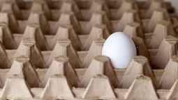 Aprendé a reciclar un maple de huevos para crear un hermoso jarrón Aprendé a reciclar un maple de huevos para crear un hermoso jarrón