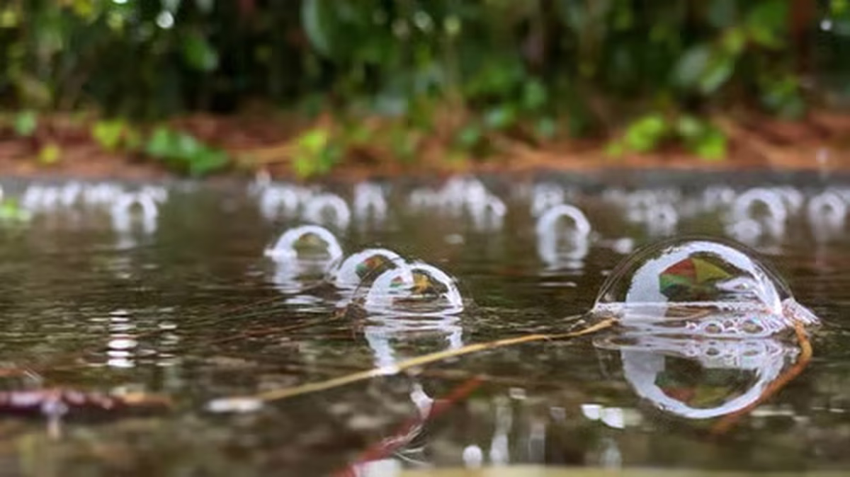 Toma las medidas necesarias para cuidarte de la lluvia Toma las medidas necesarias para cuidarte de la lluvia