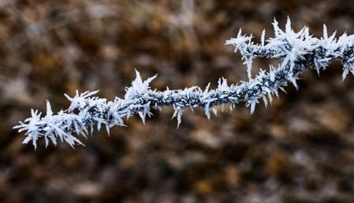 Estas suelen suceder durante el invierno Estas suelen suceder durante el invierno