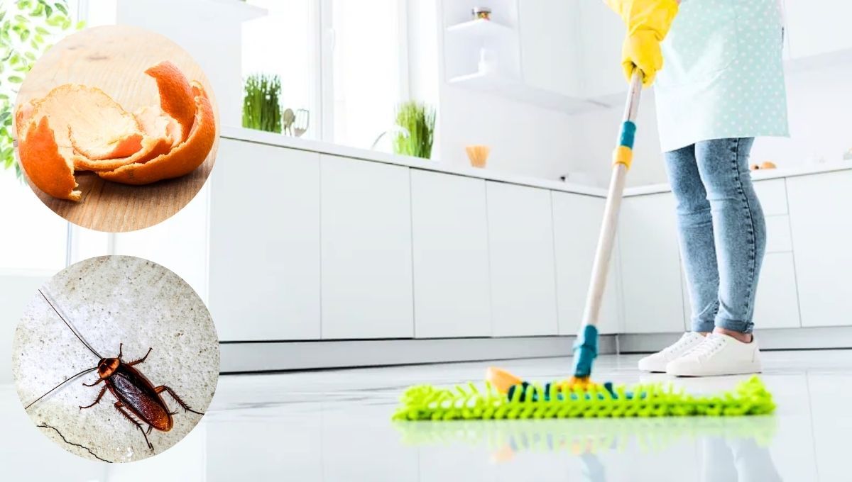 La cáscara de naranja puede ser efectiva para espantar a las cucarachas