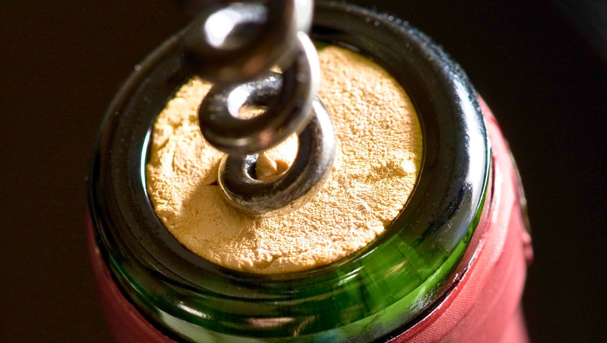 Normalmente los vinos tintos que requieren más asentamiento y fermentado se envasan en botellas con corcho Normalmente los vinos tintos que requieren más asentamiento y fermentado se envasan en botellas con corcho