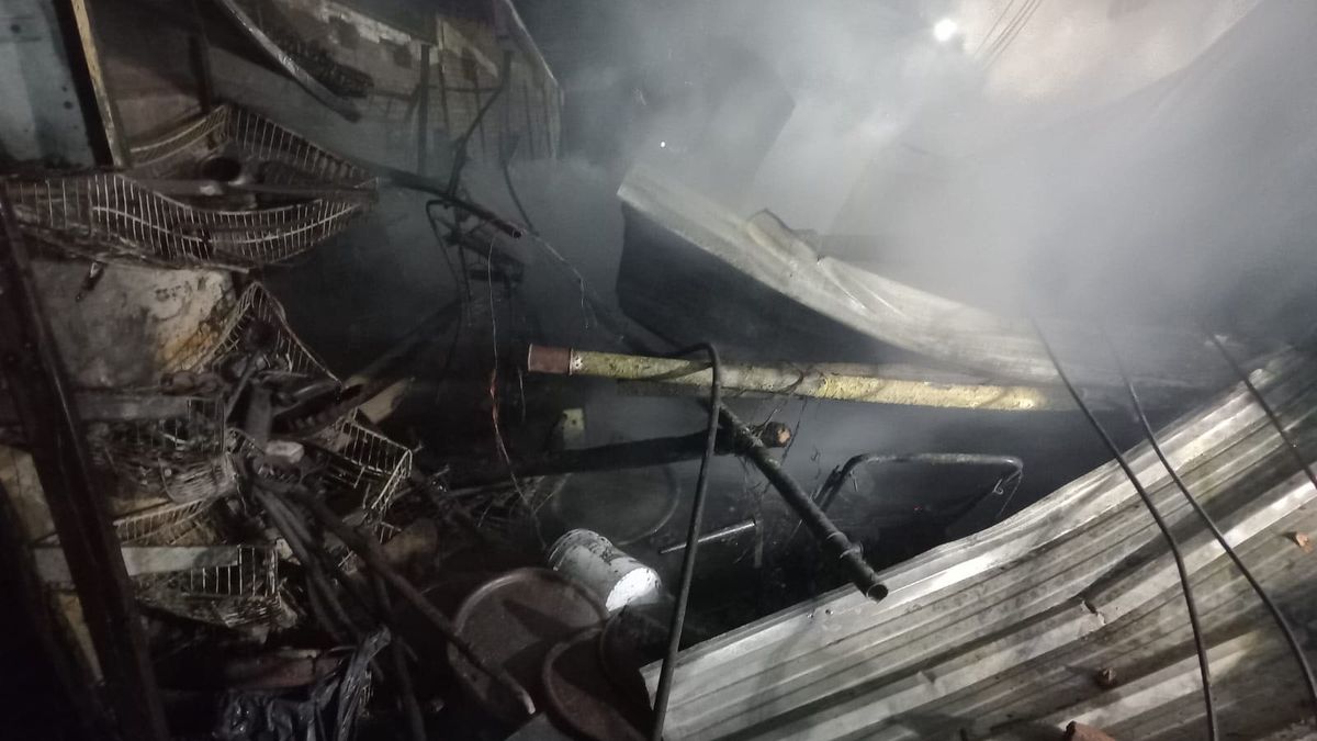 Las pérdidas fueron totales. Las pérdidas fueron totales.