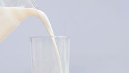 Alimentación saludable: la importancia de tomar un vaso de leche fresca