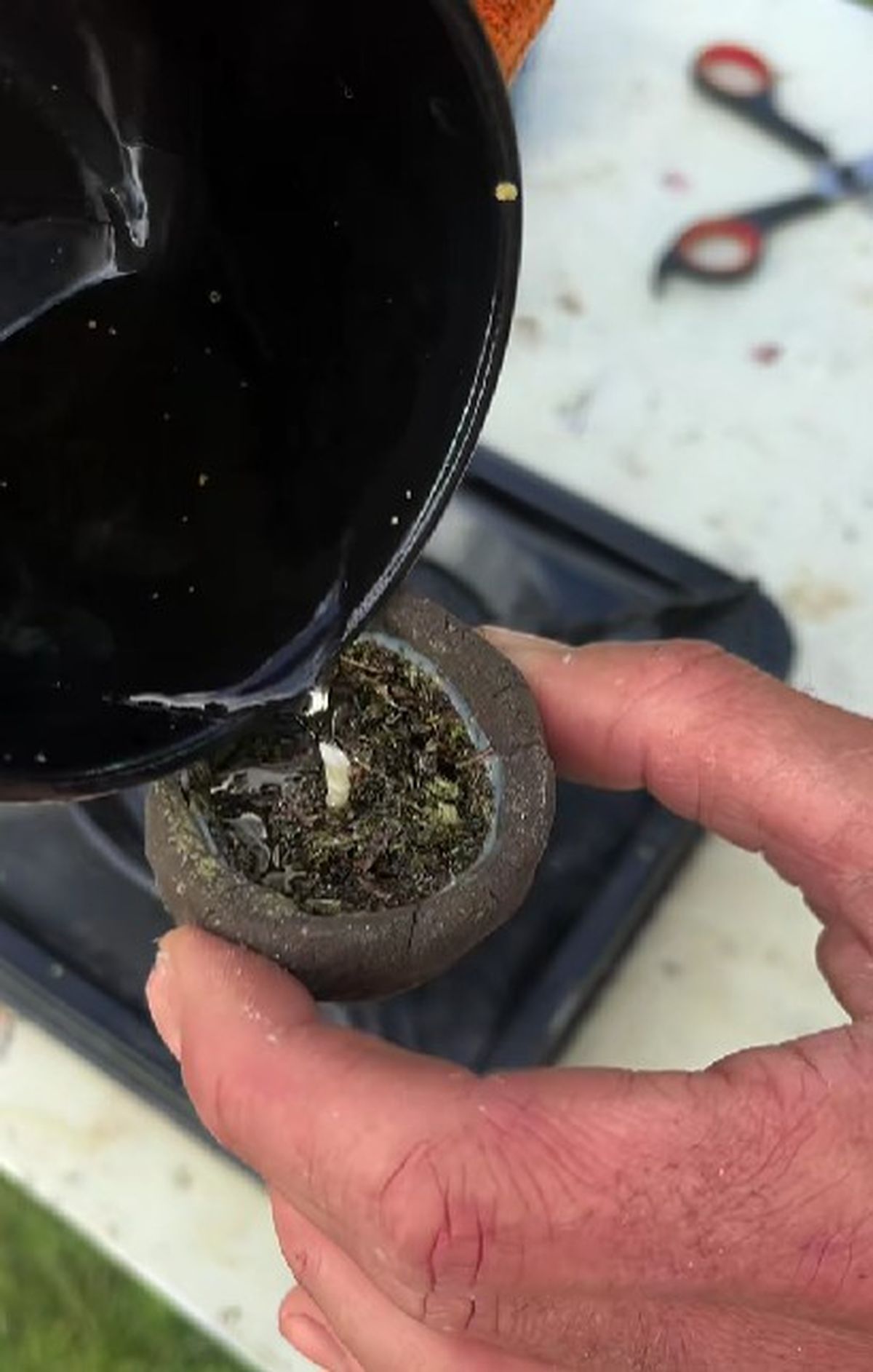 Cómo hacer una vela con orégano para ahuyentar mosquitos. Cómo hacer una vela con orégano para ahuyentar mosquitos.