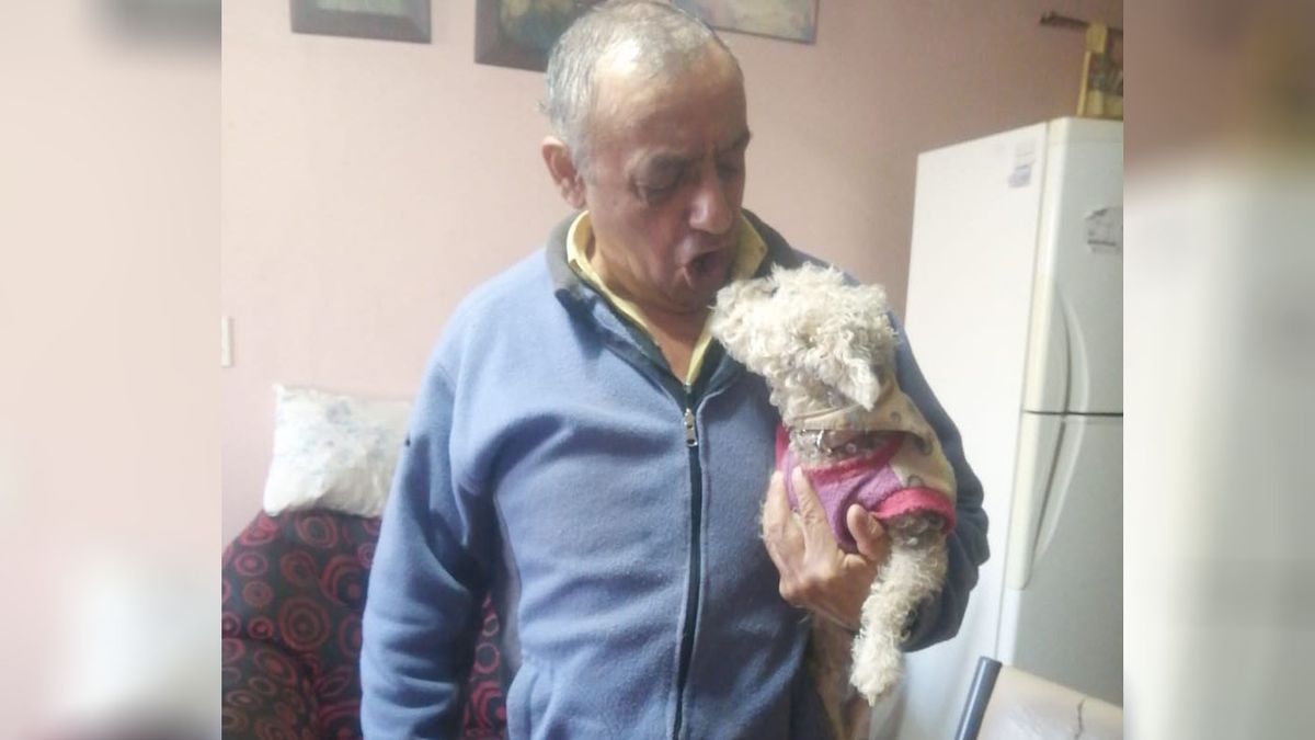 El reencuentro de la perrita Lola con su familia luego de haberse perdido en Las Heras.