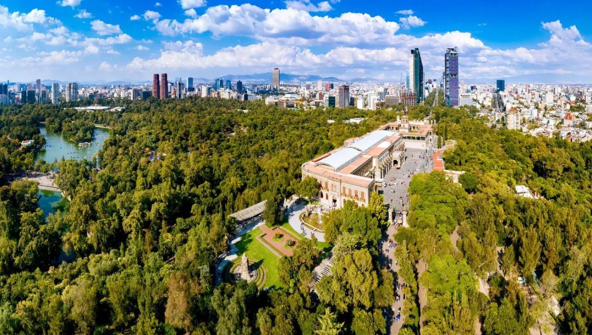 Bosque de Chapultepec: ¿Qué actividades no puedes dejar de hacer?