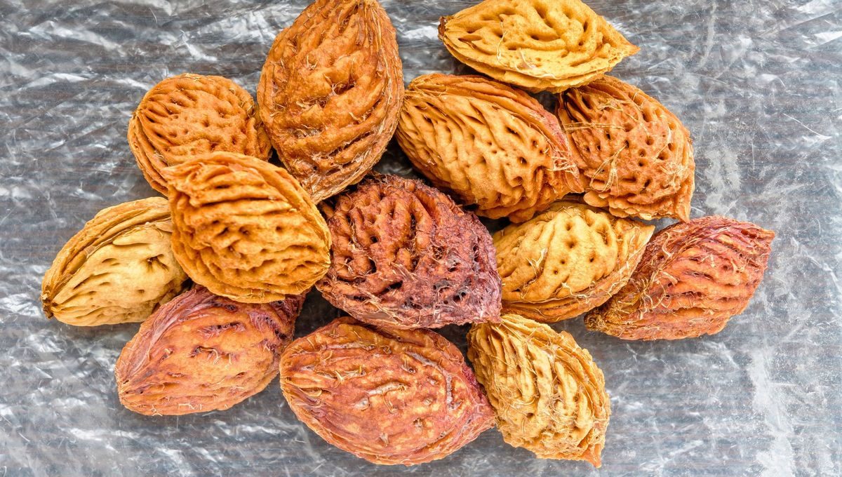 Quien tenga carozos de durazno tiene un tesoro en sus manos: por qué hay que guardarlos