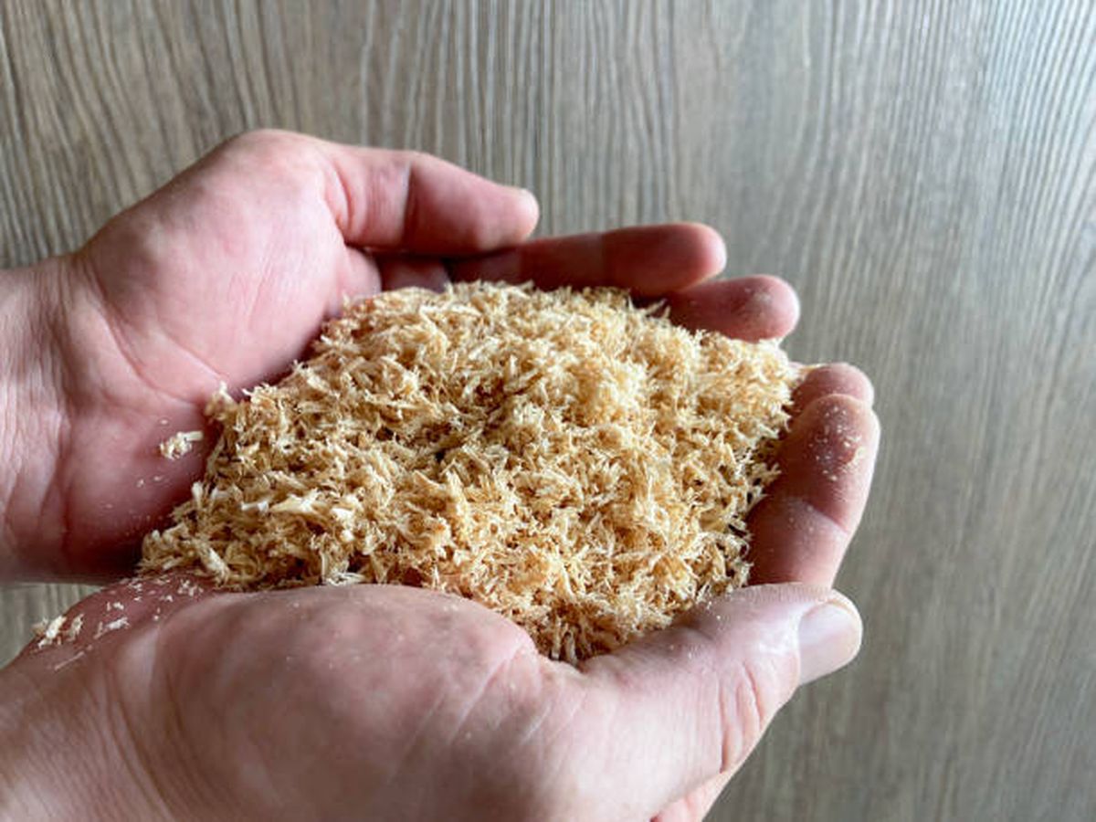 Así tendrás que usar aserrín para hacer una maceta reciclada. Así tendrás que usar aserrín para hacer una maceta reciclada.