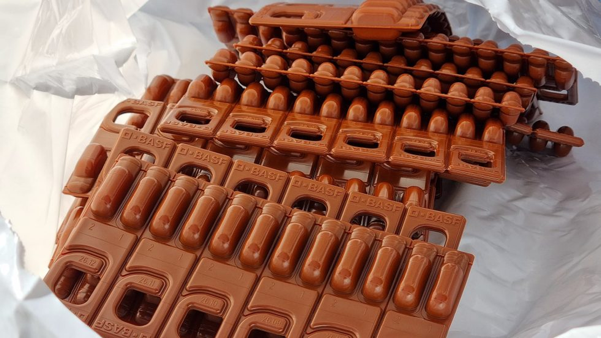 Los difusores de feromonas de confusión sexual se usaron sobre 50.000 hectáreas productivas. Son claves para bloquear la reproducción de la polilla de la vid. Los difusores de feromonas de confusión sexual se usaron sobre 50.000 hectáreas productivas. Son claves para bloquear la reproducción de la polilla de la vid.