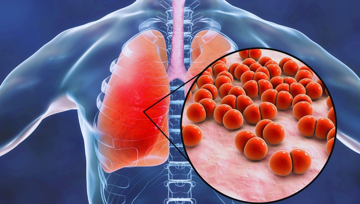 Fuente Canva Fuente Canva