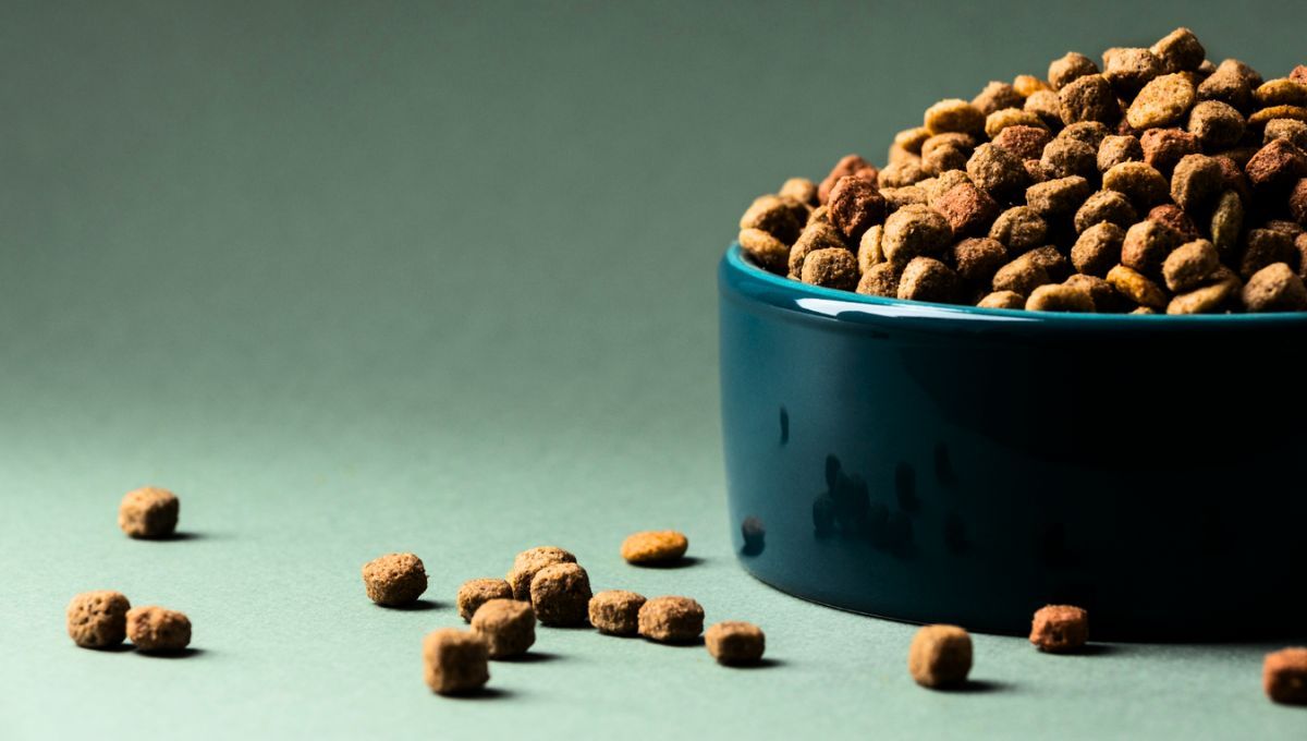 El plato tradicional para mascotas puede desaparecer tal y como lo conocemos