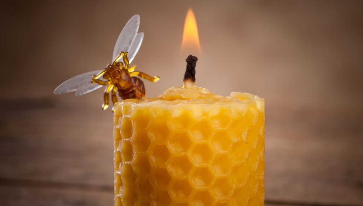 Vela de miel. Vela de miel. 