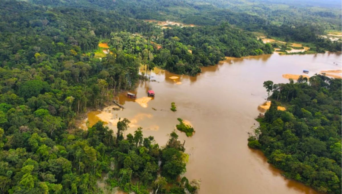 Riqueza escondida: el Escudo Guayanés, una de las formaciones geológicas más antiguas del mundo. Riqueza escondida: el Escudo Guayanés, una de las formaciones geológicas más antiguas del mundo. 