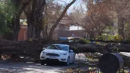 urgente comunicado de vialidad para los conductores por el viento zonda