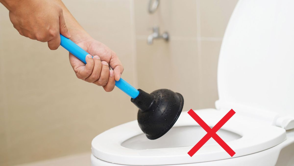 Sin sopapa ni químicos: cómo destapar un inodoro muy tapado con un ingrediente de cocina