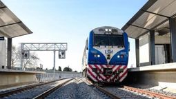 El conductor del tren no logró ver a los niños sobre las vías, en José C. Paz, y ambos pequeños y el perro fueron arrollados&nbsp;
